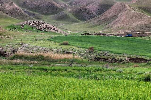تشکیل 6 پرونده تخریب و تصرف اراضی ملی در اسدآباد