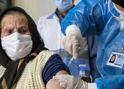 واکسن ایرانی کرونا، اوایل تابستان به فراوری انبوه می رسد