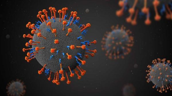 شناسایی 11 مورد قطعی ابتلا به ویروس تازه نیپا در هند